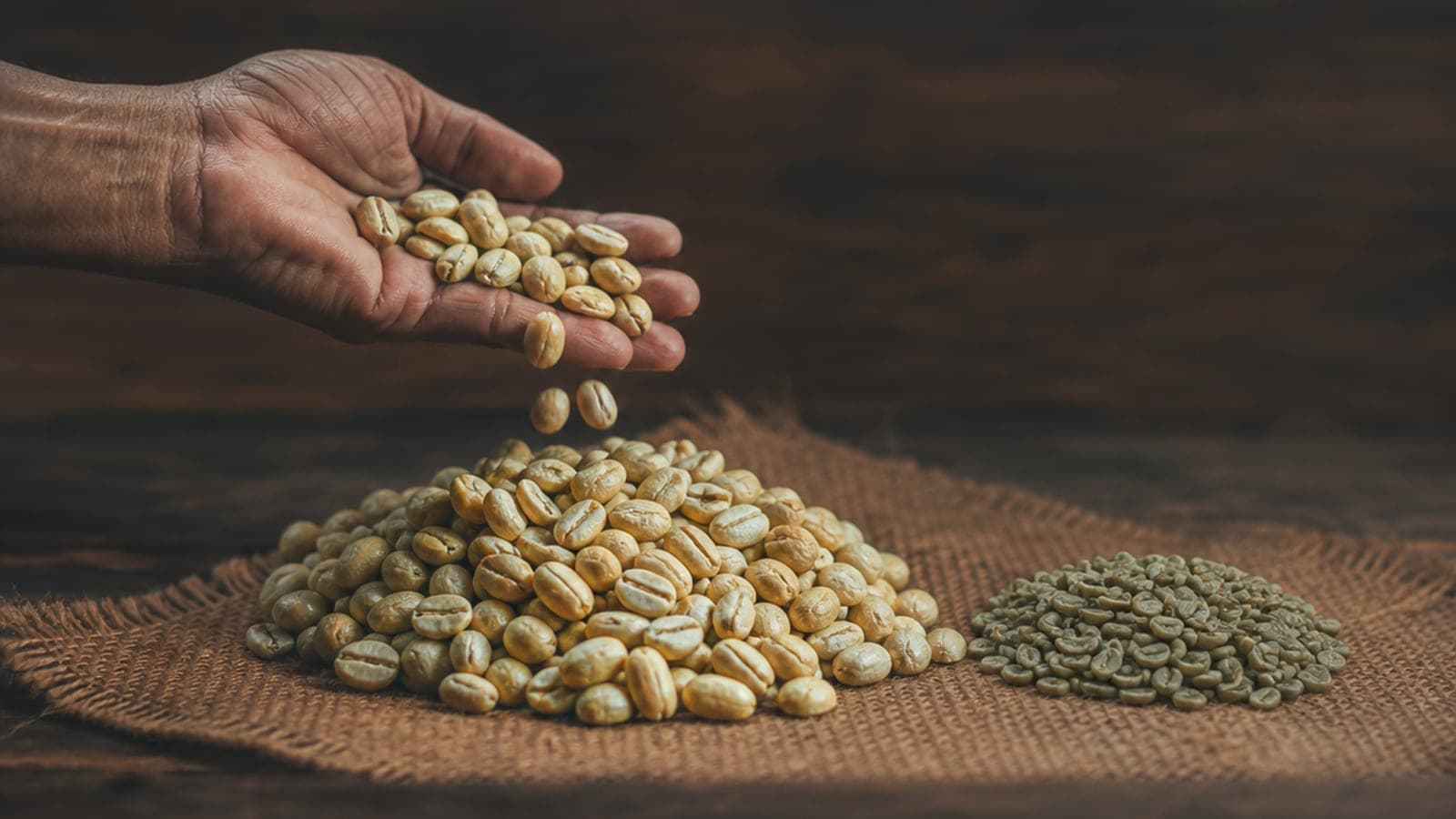 Why Monsoon Malabar Is the Most Misunderstood Coffee in India