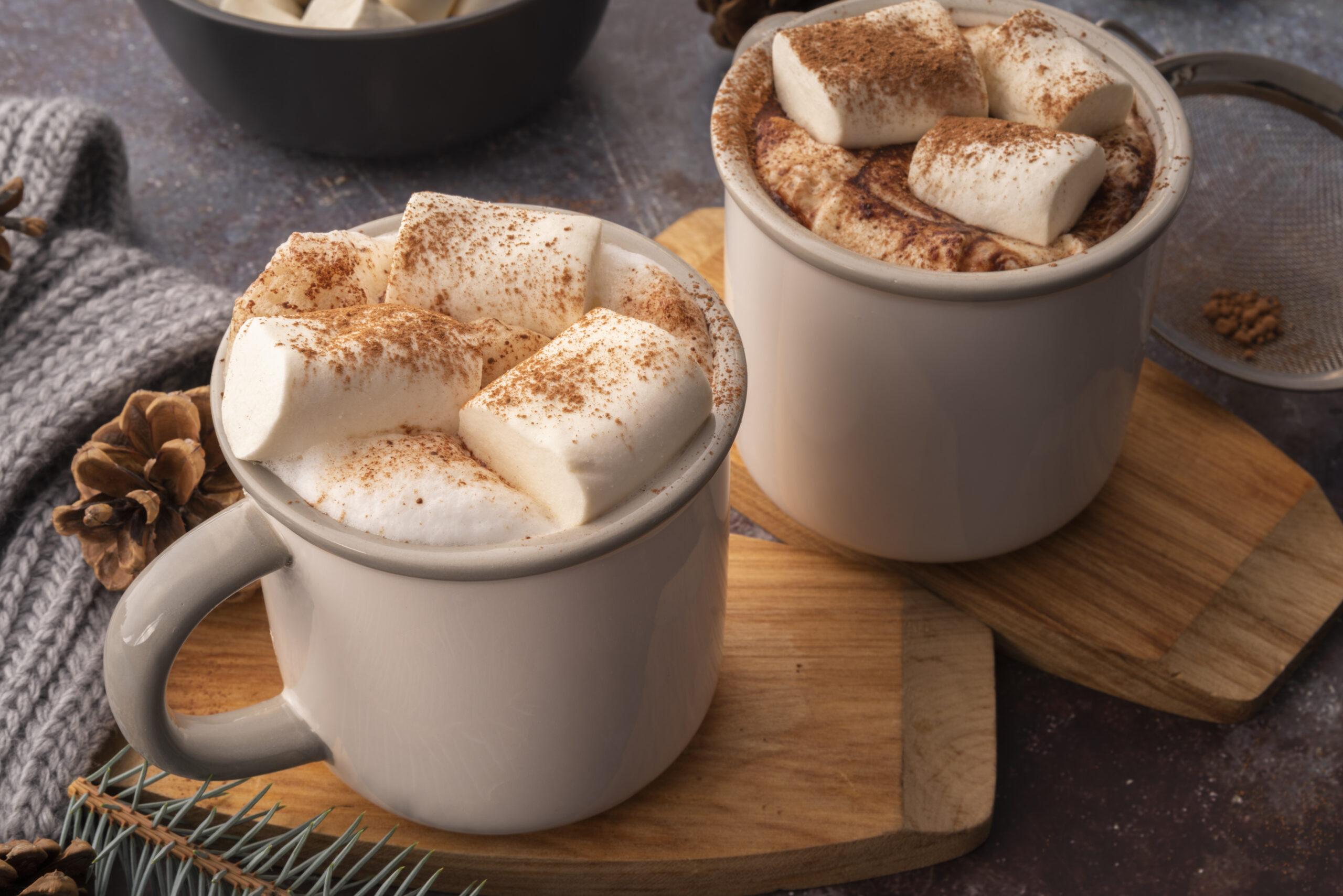 services-02 Fluffy Masrhmallow Hot Chocolate